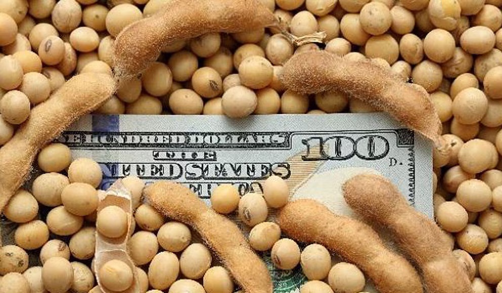 La venta de granos avanzó por debajo del promedio y el campo demoró el ingreso de dólares