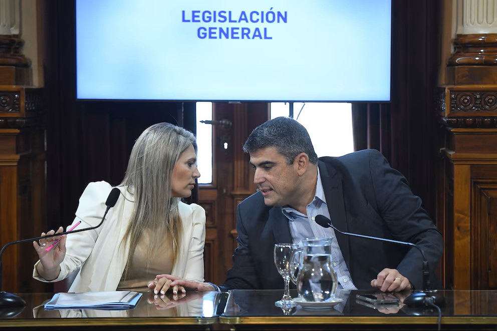 El Senado busca unificar proyectos para crear un registro nacional de deudores alimentarios